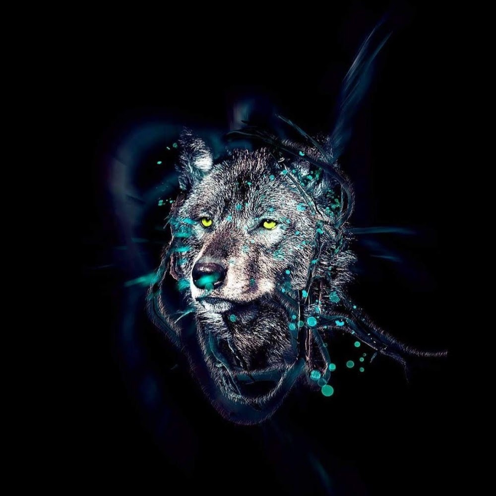 Meet your Posher, Danaiza